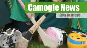 Camogie Notes